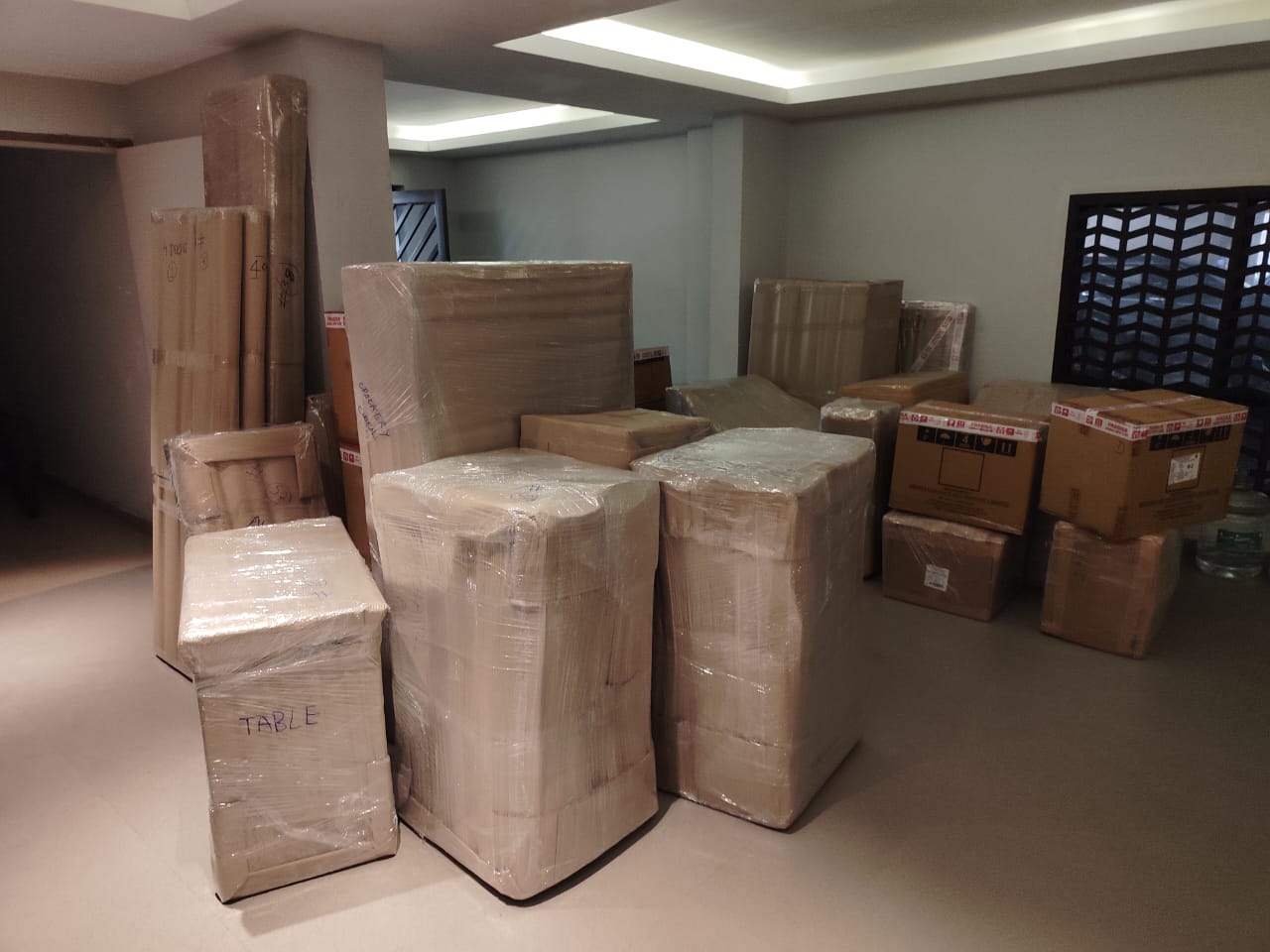 Professional packing service by Go India Packers